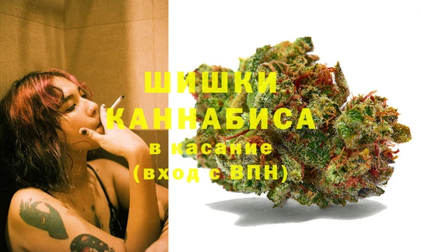 ГАЛЛЮЦИНОГЕННЫЕ ГРИБЫ Семилуки