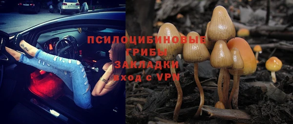 мяу мяу мука Абаза