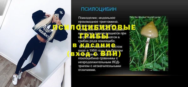 мяу мяу мука Абаза