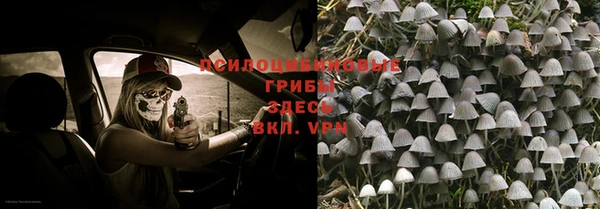 мяу мяу мука Абаза