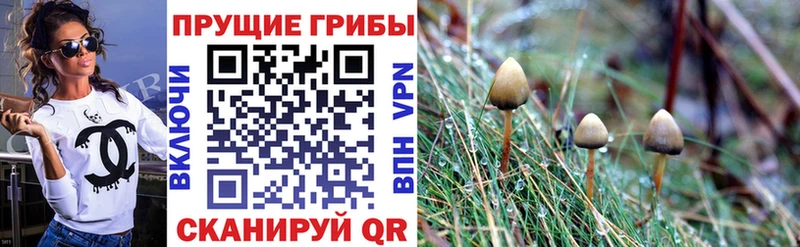 гидра маркетплейс  Вилюйск  Галлюциногенные грибы MAGIC MUSHROOMS  купить закладку 